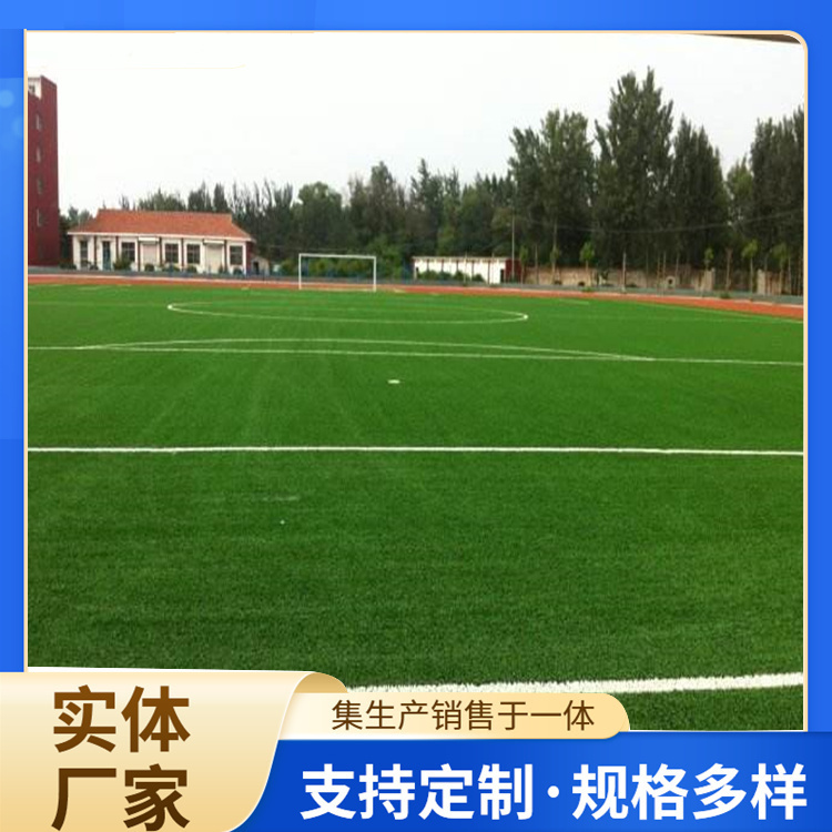 桂林市橡胶跑道人造草坪 - 推荐